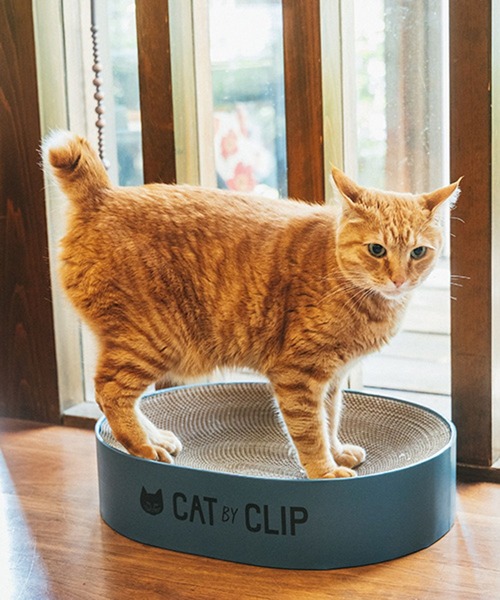 ラウンド爪とぎ[CAT BY CLIP]（ペット用おもちゃ）｜studio CLIP