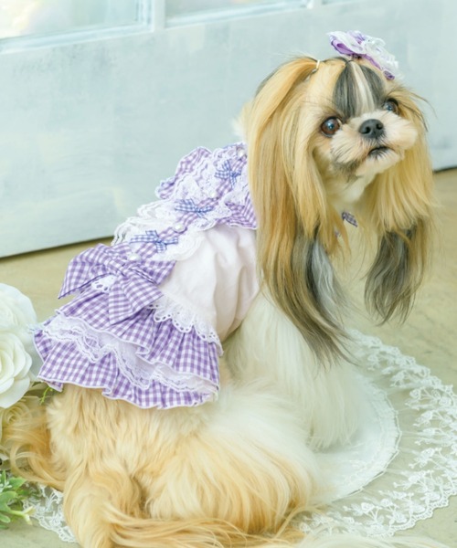 セール Cannana きゃんナナ Sweetギンガムフリルワンピース 犬 服 ドッグウェア ペットウェア Cannana キャンナナ のファッション