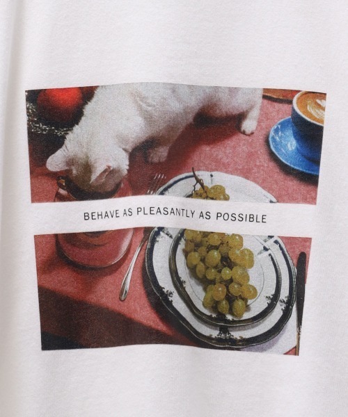 JEANASIS（ジーナシス）の「アソートプリントSST/216234（Tシャツ/カットソー・レディース・ホワイト/ブラック/キナリ・FREE）」の20枚目の写真