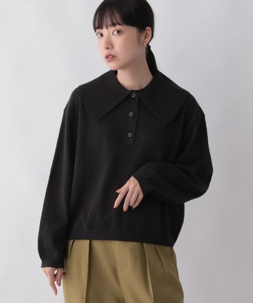 LOWRYS FARM（ローリーズファーム）の「ニットポロ 294811（ポロシャツ