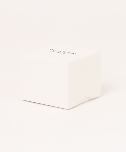 SKAGEN(スカーゲン)の「スカーゲン 腕時計 レディース アナログ ステンレス SKW3164(アナログ腕時計・レディース・ゴールド・FREE)」の10枚目の写真