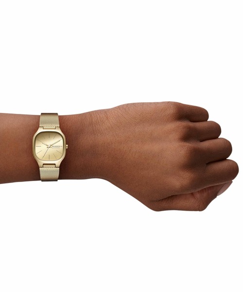 SKAGEN(スカーゲン)の「スカーゲン 腕時計 レディース アナログ ステンレス SKW3164(アナログ腕時計・レディース・ゴールド・FREE)」の2枚目の写真
