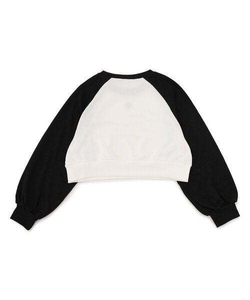 algy（アルジー）の「ラグラントレーナー（スウェット・キッズ・エンジ/オフホワイト/ネイビー・MEDIUM/SMALL/X-SMALL/XX-SMALL）」の16枚目の写真