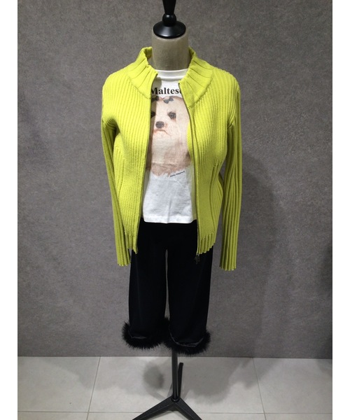 ASHLEY WILLIAMS(アシュリーウィリアムス)の「【Ashley Williams / アシュリー・ウィリアムズ】 WHITE CROPPED T-SHIRT AWAW250103(Tシャツ/カットソー・レディース・ホワイト・MEDIUM/SMALL)」の10枚目の写真