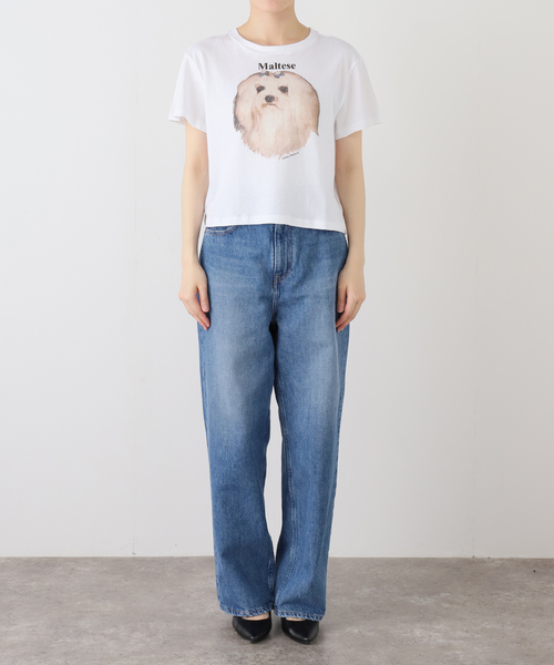ASHLEY WILLIAMS(アシュリーウィリアムス)の「【Ashley Williams / アシュリー・ウィリアムズ】 WHITE CROPPED T-SHIRT AWAW250103(Tシャツ/カットソー・レディース・ホワイト・MEDIUM/SMALL)」の12枚目の写真