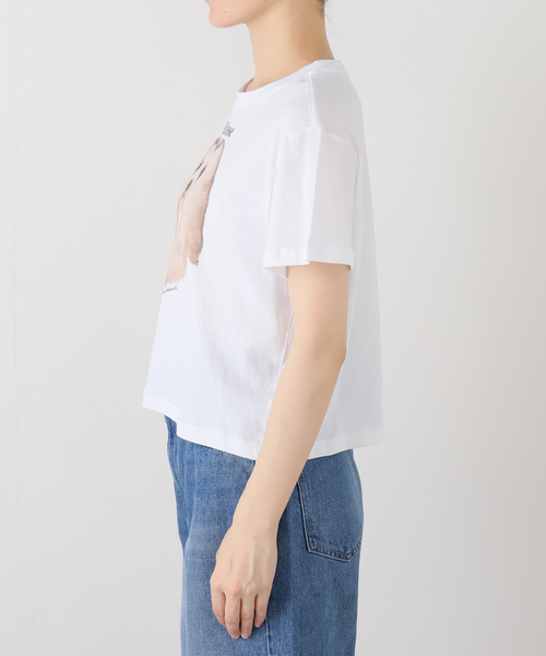 ASHLEY WILLIAMS(アシュリーウィリアムス)の「【Ashley Williams / アシュリー・ウィリアムズ】 WHITE CROPPED T-SHIRT AWAW250103(Tシャツ/カットソー・レディース・ホワイト・MEDIUM/SMALL)」の14枚目の写真