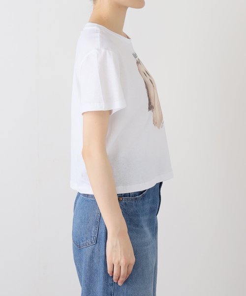 ASHLEY WILLIAMS(アシュリーウィリアムス)の「【Ashley Williams / アシュリー・ウィリアムズ】 WHITE CROPPED T-SHIRT AWAW250103(Tシャツ/カットソー・レディース・ホワイト・MEDIUM/SMALL)」の3枚目の写真