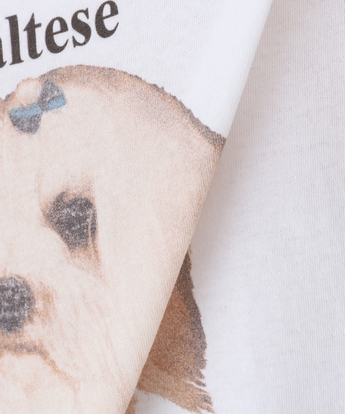 ASHLEY WILLIAMS(アシュリーウィリアムス)の「【Ashley Williams / アシュリー・ウィリアムズ】 WHITE CROPPED T-SHIRT AWAW250103(Tシャツ/カットソー・レディース・ホワイト・MEDIUM/SMALL)」の5枚目の写真