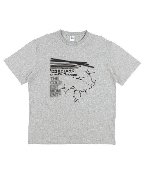 THECOLDESTMOMENT(ザコールデストモーメント)の「TCM melanine T (grey)(Tシャツ/カットソー・レディース・その他・L/XL/S/M)」の1枚目の写真
