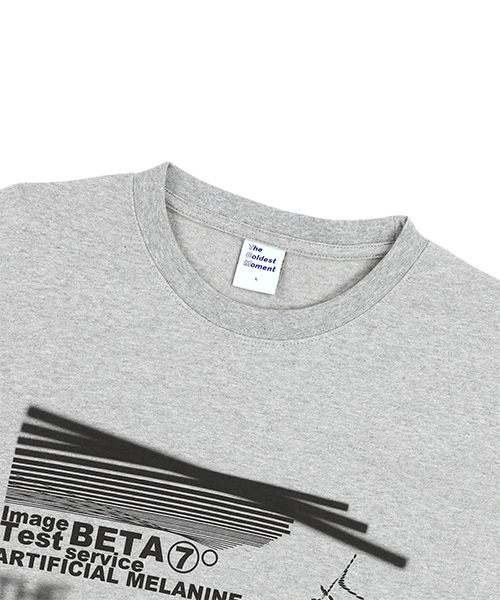 THECOLDESTMOMENT(ザコールデストモーメント)の「TCM melanine T (grey)(Tシャツ/カットソー・レディース・その他・L/XL/S/M)」の4枚目の写真