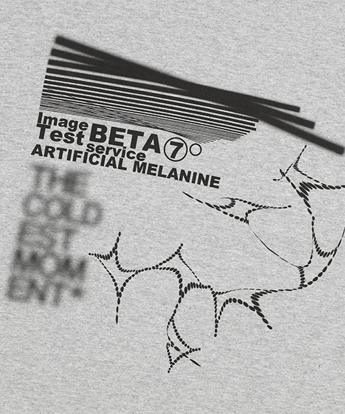 THECOLDESTMOMENT(ザコールデストモーメント)の「TCM melanine T (grey)(Tシャツ/カットソー・レディース・その他・L/XL/S/M)」の5枚目の写真