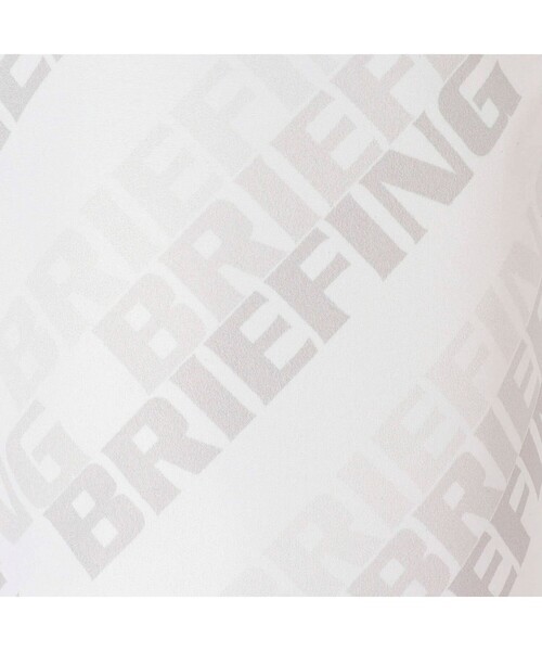 BRIEFING(ブリーフィング)の「【BRIEFING GOLF】SHADOW LOGO JQ ICE BAG(ゴルフグッズ・メンズ・ブラック/ホワイト・FREE)」の11枚目の写真