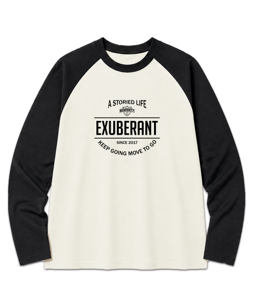 BEMIGHTY(ビーマイティー)の「アーチレタリング オーバーサイズ ラグラン長袖Tシャツ ブラック(Tシャツ/カットソー・メンズ・その他・LARGE/X-LARGE/XX-LARGE)」の3枚目の写真