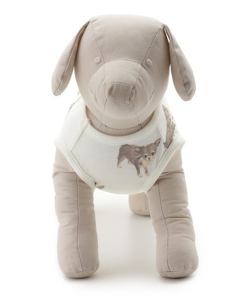 GELATO PIQUE チワワ Chihuahua ルームウェア gelato pique（ジェラートピケ）の「【CAT&DOG】【販路限定商品