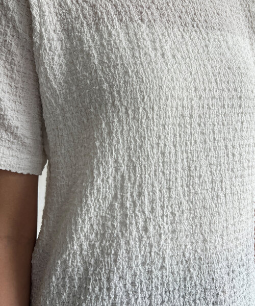 Chez toi(シェトワ)の「カットジャガードコンパクトTシャツ(Tシャツ/カットソー・レディース・ブラック/ブルー/オフホワイト・FREE)」の17枚目の写真