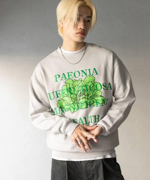 SENSE OF PLACE by URBAN RESEARCH（センスオブプレイスバイアーバンリサーチ）の「ボタニカルグラフィッククルーネックスウェット（スウェット・メンズ・ネイビー/ライトグレー/ブラウン/ライトブルー・LARGE/MEDIUM）」の22枚目の写真