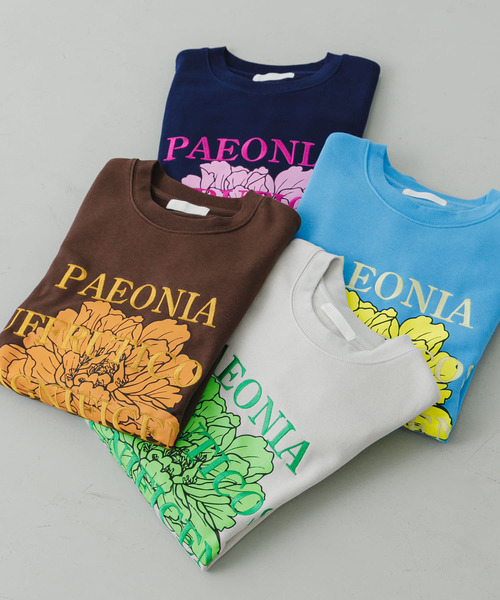 SENSE OF PLACE by URBAN RESEARCH（センスオブプレイスバイアーバンリサーチ）の「ボタニカルグラフィッククルーネックスウェット（スウェット・メンズ・ネイビー/ライトグレー/ブラウン/ライトブルー・LARGE/MEDIUM）」の8枚目の写真