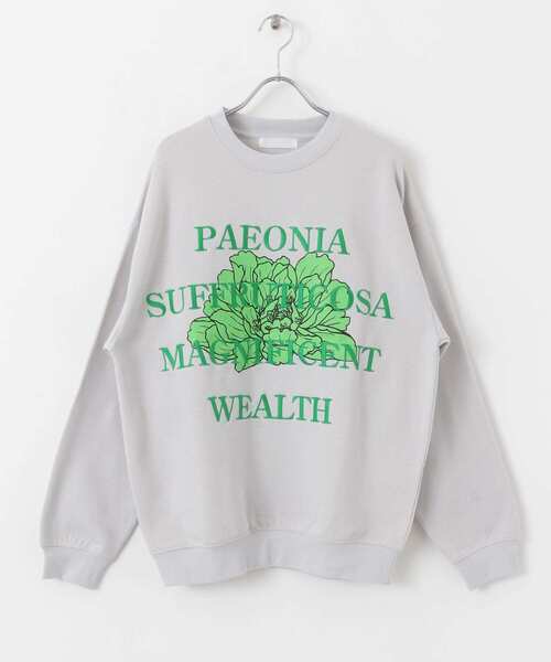 SENSE OF PLACE by URBAN RESEARCH（センスオブプレイスバイアーバンリサーチ）の「ボタニカルグラフィッククルーネックスウェット（スウェット・メンズ・ネイビー/ライトグレー/ブラウン/ライトブルー・LARGE/MEDIUM）」の9枚目の写真