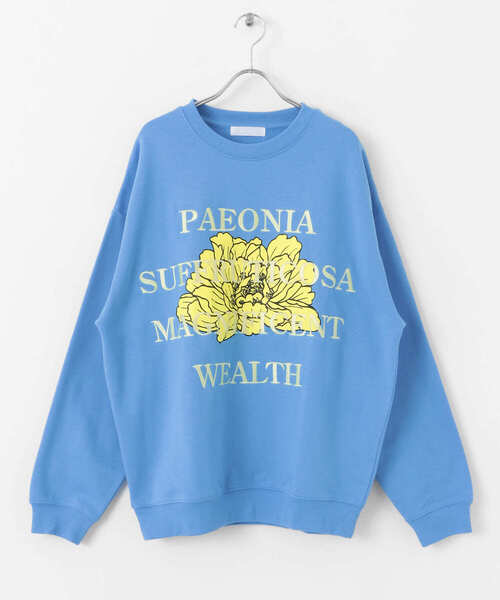 SENSE OF PLACE by URBAN RESEARCH（センスオブプレイスバイアーバンリサーチ）の「ボタニカルグラフィッククルーネックスウェット（スウェット・メンズ・ネイビー/ライトグレー/ブラウン/ライトブルー・LARGE/MEDIUM）」の11枚目の写真