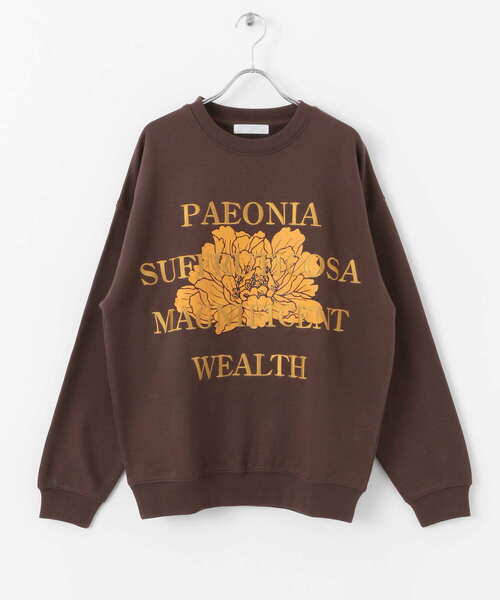 SENSE OF PLACE by URBAN RESEARCH（センスオブプレイスバイアーバンリサーチ）の「ボタニカルグラフィッククルーネックスウェット（スウェット・メンズ・ネイビー/ライトグレー/ブラウン/ライトブルー・LARGE/MEDIUM）」の12枚目の写真