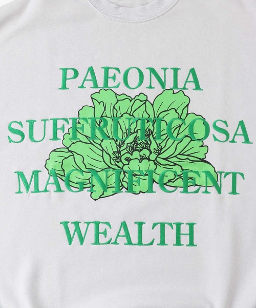 SENSE OF PLACE by URBAN RESEARCH（センスオブプレイスバイアーバンリサーチ）の「ボタニカルグラフィッククルーネックスウェット（スウェット・メンズ・ネイビー/ライトグレー/ブラウン/ライトブルー・LARGE/MEDIUM）」の16枚目の写真