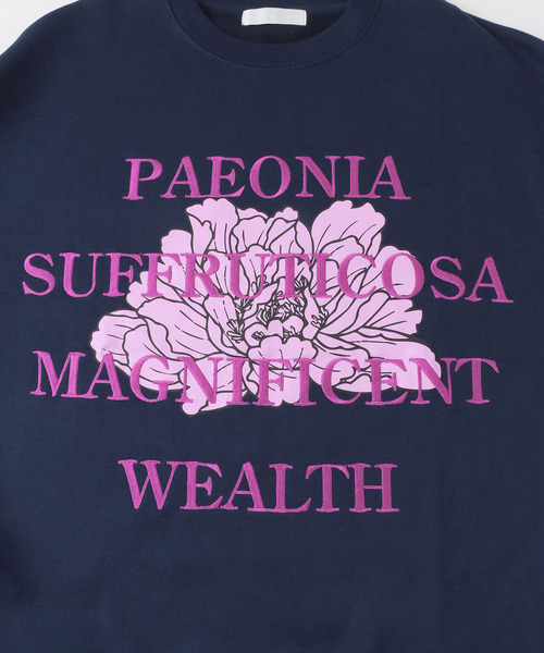 SENSE OF PLACE by URBAN RESEARCH（センスオブプレイスバイアーバンリサーチ）の「ボタニカルグラフィッククルーネックスウェット（スウェット・メンズ・ネイビー/ライトグレー/ブラウン/ライトブルー・LARGE/MEDIUM）」の17枚目の写真