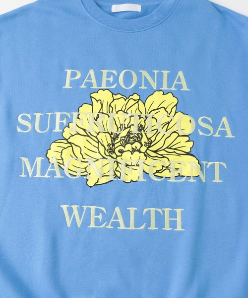 SENSE OF PLACE by URBAN RESEARCH（センスオブプレイスバイアーバンリサーチ）の「ボタニカルグラフィッククルーネックスウェット（スウェット・メンズ・ネイビー/ライトグレー/ブラウン/ライトブルー・LARGE/MEDIUM）」の18枚目の写真