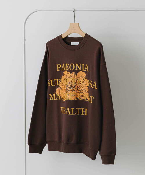 SENSE OF PLACE by URBAN RESEARCH（センスオブプレイスバイアーバンリサーチ）の「ボタニカルグラフィッククルーネックスウェット（スウェット・メンズ・ネイビー/ライトグレー/ブラウン/ライトブルー・LARGE/MEDIUM）」の3枚目の写真