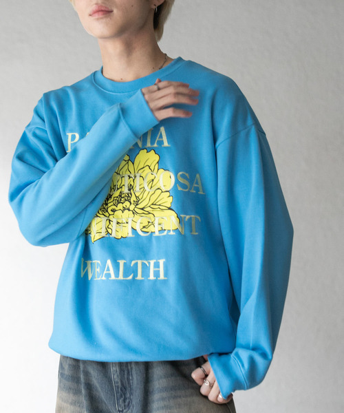 SENSE OF PLACE by URBAN RESEARCH（センスオブプレイスバイアーバンリサーチ）の「ボタニカルグラフィッククルーネックスウェット（スウェット・メンズ・ネイビー/ライトグレー/ブラウン/ライトブルー・LARGE/MEDIUM）」の5枚目の写真