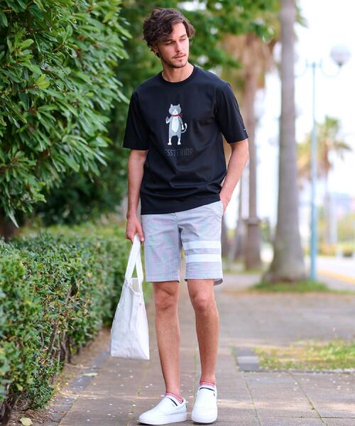 DRESSTERIOR（ドレステリア）の「【接触冷感／抗菌防臭／消臭】ICE CLEAR COTTON キャットTシャツ（Tシャツ/カットソー・メンズ・ホワイト/ブラック/ライトイエロー系/レッド系1・90/91/92/94）」の11枚目の写真