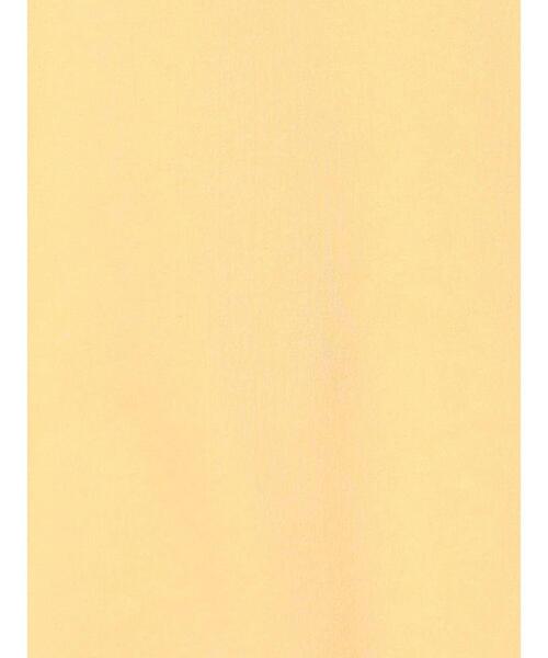 Samansa Mos2 Lagom（サマンサモスモスラーゴム）の「【きかんしゃトーマス】プリントトレーナー（Tシャツ/カットソー・キッズ・ブルー/オレンジ/イエロー・100/110/120/95）」の17枚目の写真