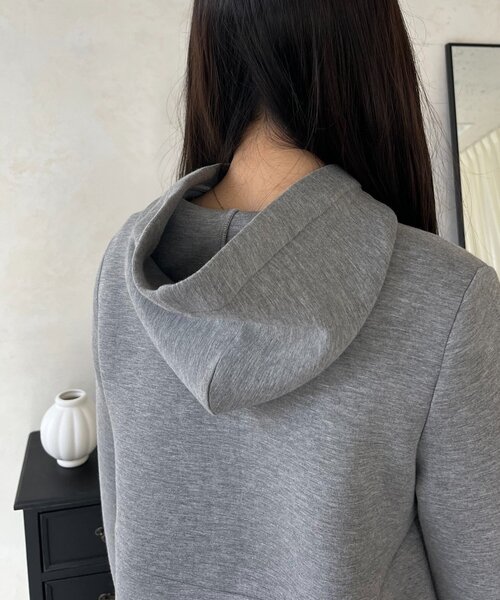 prose verse(プロズヴェール)の「ティアードフリルボンディングペプラムパーカー(パーカー・レディース・ブラック/グレー・LARGE/MEDIUM)」の5枚目の写真