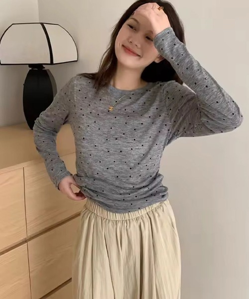 ammy.(エイミードット)の「【 ammy. / エイミードット 】 ドット柄 シアー カットソー(Tシャツ/カットソー・レディース・グレー/アイボリー・FREE)」の6枚目の写真