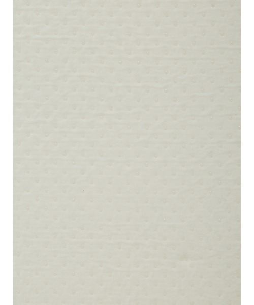 gelato pique（ジェラートピケ）の「【COOL】SHARKバスマット