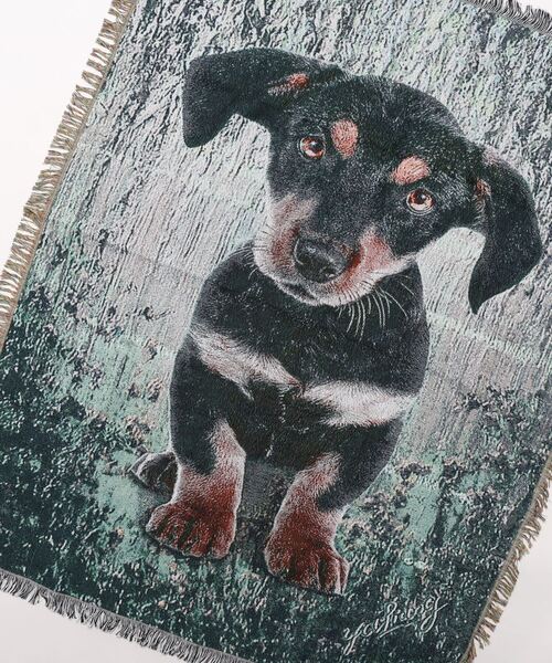 somni / ソニ 】犬 猫 ブランケット マルチカバー ラグ（ブランケット