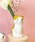 Paradise Picnicip_CXsNjbNj́ut[&yX^h@eLiyށjvb̑2