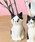 Paradise Picnicip_CXsNjbNj́ut[&yX^h@eLiyށjvb̑