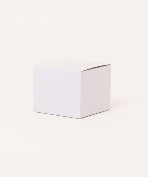 SKAGEN(スカーゲン)の「スカーゲン 腕時計 レディース アナログ ステンレス SKW3168(アナログ腕時計・レディース・シルバー・FREE)」の9枚目の写真