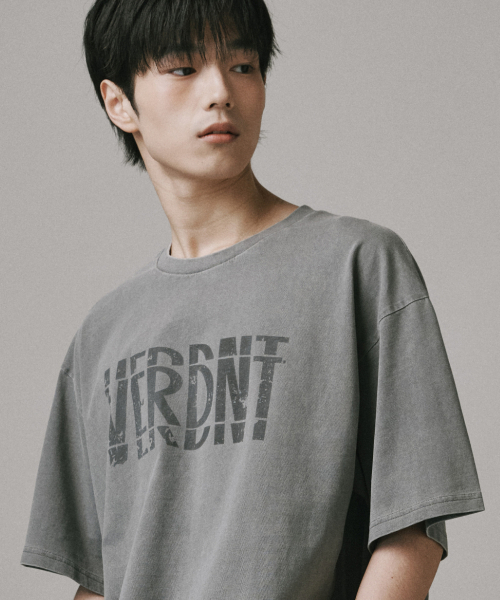 Verdnt(バーダント)の「スペルピグメント半袖Tシャツ【ライトグレー】(Tシャツ/カットソー・レディース・ライトグレー・SMALL/MEDIUM/LARGE)」の5枚目の写真