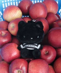 ear PAPILLONNER(�C�A�p�s���l)�́yHELLO KITTY�i�n���[�L�e�B�j×ear�z�R���{�ʂ�����݃`���[��(�`���[��)