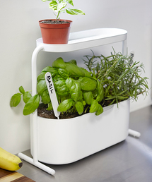 Umbra（アンブラ）の「umbra/ジャルディノ プランター ホワイト（キッチンツール）」