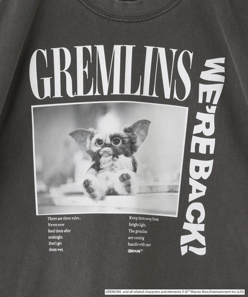 LOWRYS FARM（ローリーズファーム）の「グレムリンノースリーブ　 498648（Tシャツ/カットソー・キッズ・チャコールグレー/オフホワイト・110cm/150cm/140cm/130cm/120cm）」の18枚目の写真