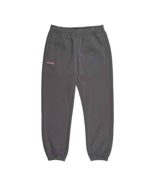 BLACK BRIAR(ブラックブライアー)の「BB ジョガーパンツ チャコール(スウェットパンツ・レディース・その他・MEDIUM/X-LARGE)」の1枚目の写真
