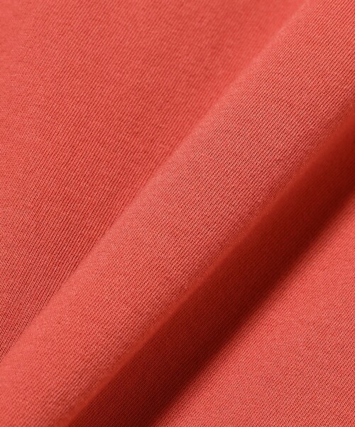 homspun(ホームスパン)の「homspun / 天竺 半袖Tシャツ(Tシャツ/カットソー・レディース・ホワイト/ブラック/レッド系その他4・LARGE)」の11枚目の写真