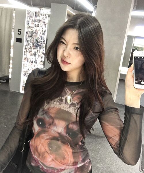 LMCの「WM PRINTED MESH LONG SLV TEE black（Tシャツ/カットソー・レディース・その他・S/M）」の7枚目の写真