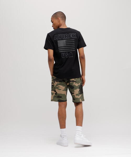 WEB&DEPOT限定》STAR SPANGLED BANNER / 星条旗 半袖 Tシャツ