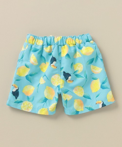 Love&Peace&Money（ラブアンドピースアンドマネー）の「オオハシレモン柄BOY'S水着 【SWIM】（水着・キッズ・ライトブルー・80-90cm/100-110cm/120-130cm）」の2枚目の写真