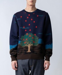 ANREALAGE | ANREALAGE(アンリアレイジ)GRAVITY APPLE KNIT(ニット/セーター)