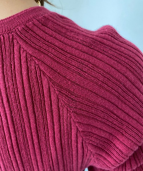 un dix cors（アンディコール）の「クルーネックリブプルオーバー（Tシャツ/カットソー・レディース・ブラック/ピンク/ホワイト/オフホワイト・FREE）」の16枚目の写真