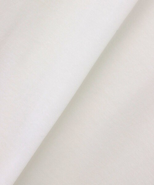 allureville(アルアバイル)の「シアー天竺ロンTEE(Tシャツ/カットソー・レディース・オフホワイト/ブラック・2)」の6枚目の写真